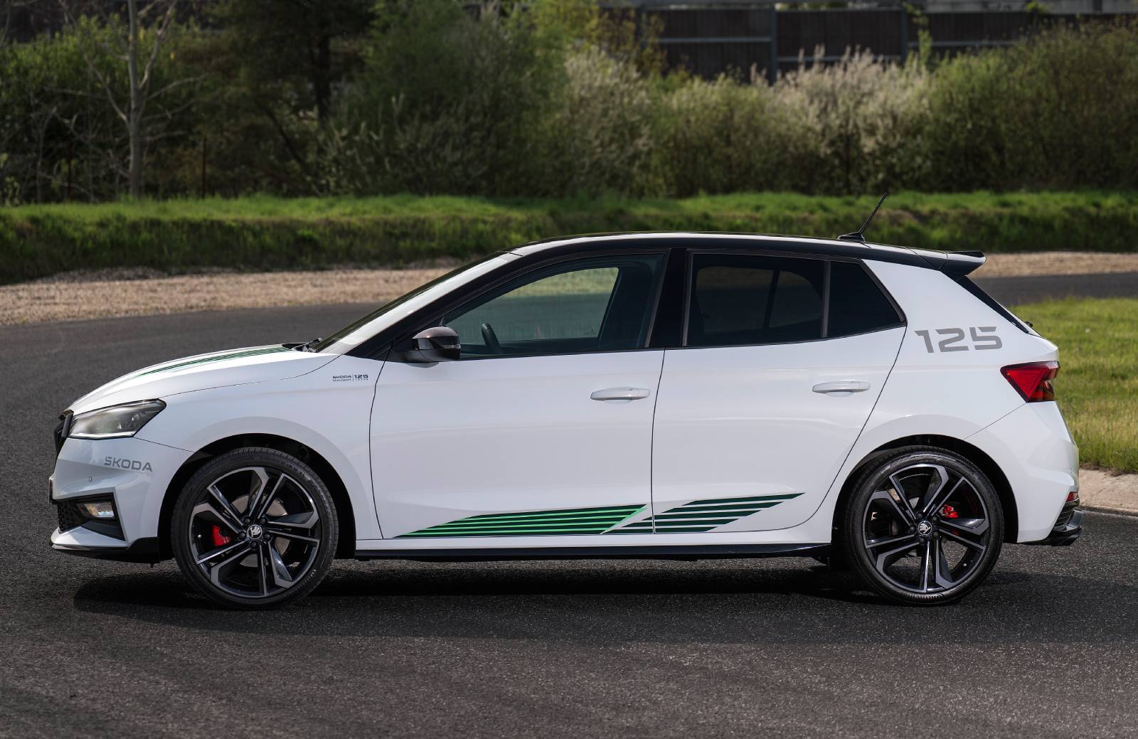 Skoda Fabia Motorsport zijkant
